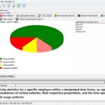 Employee_Website_Activity_Statistics