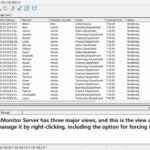 list of employee computers currently being monitored